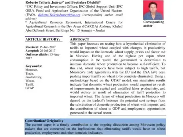 The Moroccan wheat sector: What if there is no more tariff protection?