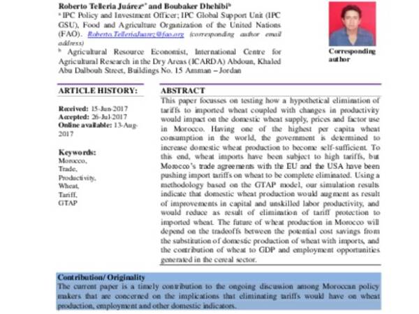 The Moroccan wheat sector: What if there is no more tariff protection?