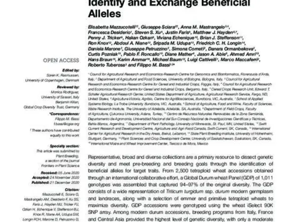 The Global Durum Wheat Panel (GDP): An International Platform to Identify and Exchange Beneficial Alleles