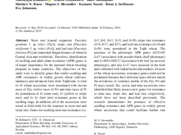 Characterization of stem, stripe and leaf rust resistance in Tajik bread wheat accessions