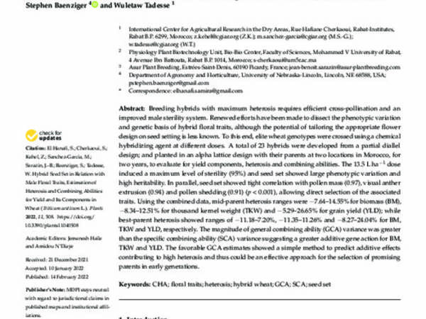 Hybrid Seed Set in Relation with Male Floral Traits, Estimation of Heterosis and Combining Abilities for Yield and Its Components in Wheat (Triticum aestivum L.)