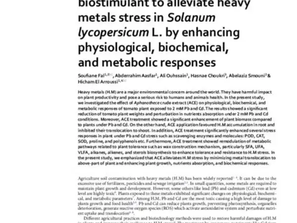 Aphanothece sp. as promising biostimulant to alleviate heavy metals stress in Solanum lycopersicum L. by enhancing physiological, biochemical, and metabolic responses