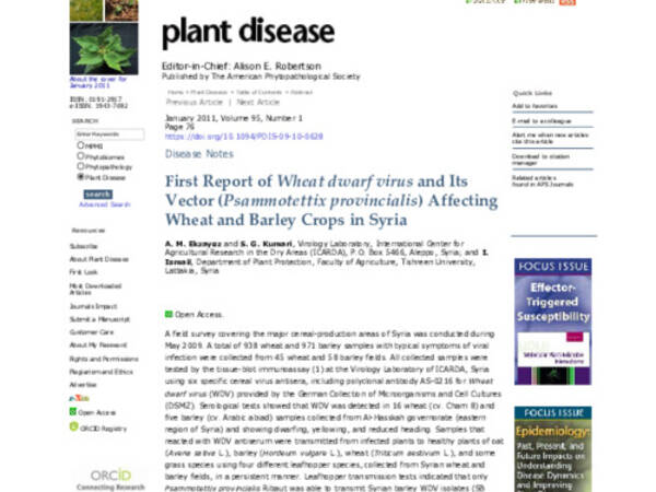 First Report Of Wheat Dwarf Virus And Its Vector (Psammotettix Provincialis) Affecting Wheat And Barley Crops In Syria