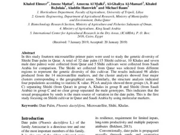 Assessing Genetic Diversity of Shishi Date Palm Cultivars in Saudi Arabia and Qatar Using Microsatellite Markers