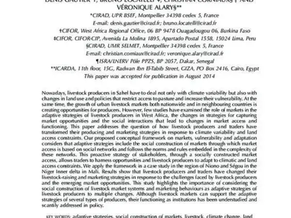 Global changes, livestock and vulnerability: the social construction of markets as an adaptive strategy