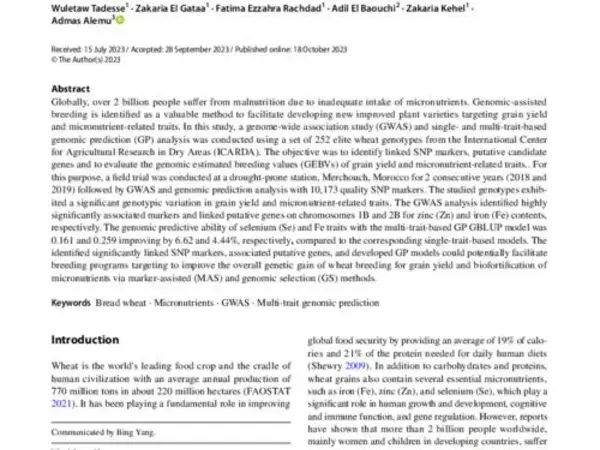 Single- and multi-trait genomic prediction and genome-wide association analysis of grain yield and micronutrient-related traits in ICARDA wheat under drought environment