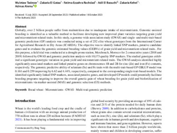 Single- and multi-trait genomic prediction and genome-wide association analysis of grain yield and micronutrient-related traits in ICARDA wheat under drought environment