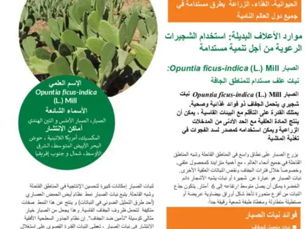 Managing rangelands: promoting sustainable shrub species: Opuntia ficus-indica (L.) Mill: a sustainable fodder plant for the dry areas ( in Arabic)