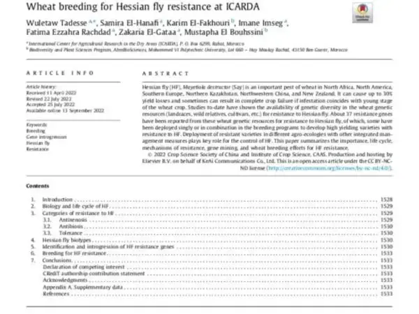 Wheat breeding for Hessian fly resistance at ICARDA