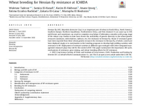 Wheat breeding for Hessian fly resistance at ICARDA