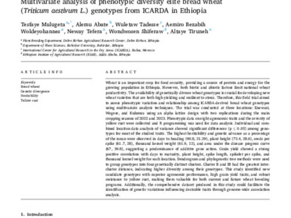 Multivariate analysis of phenotypic diversity elite bread wheat  (Triticum aestivum L.) genotypes from ICARDA in Ethiopia