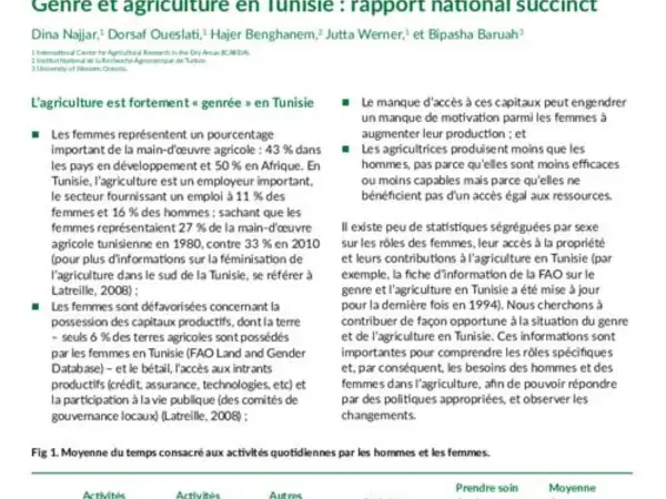 Genre et agriculture en Tunisie : rapport national succinct 