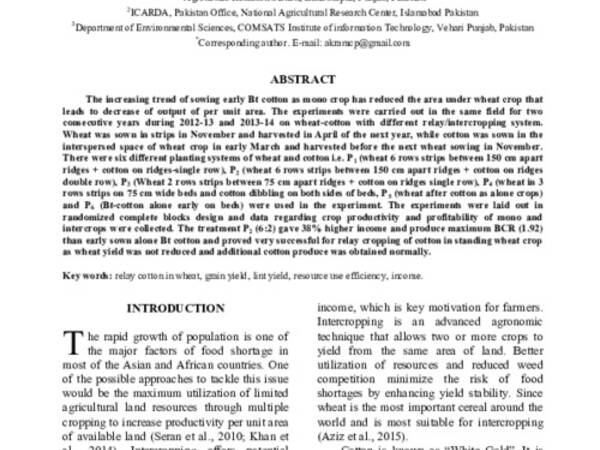 Relay Cropping of Cotton in Standing Wheat: An Innovative Approach for Enhancing the productivity and income of Small Farm 