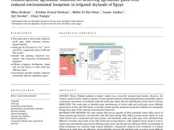 Context-specific agronomic solutions for achieving agronomic gains with reduced environmental footprints in irrigated drylands of Egypt