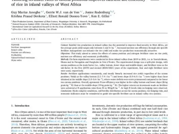 Tailoring fertilizer rates to catena positions improves nutrient use efficiency of rice in inland valleys of West Africa