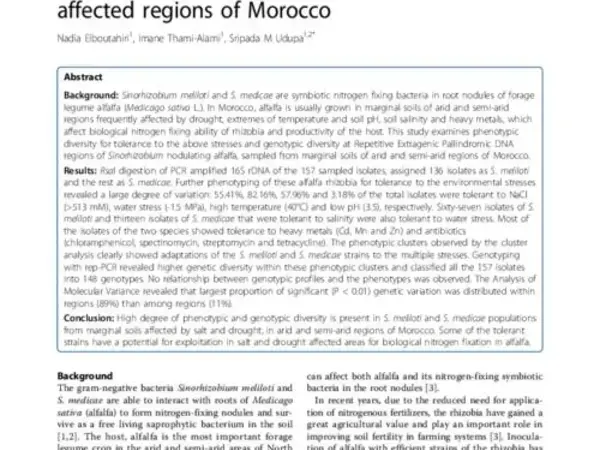Phenotypic and genetic diversity in Sinorhizobium meliloti and S. medicae from drought and salt affected regions of Morocco