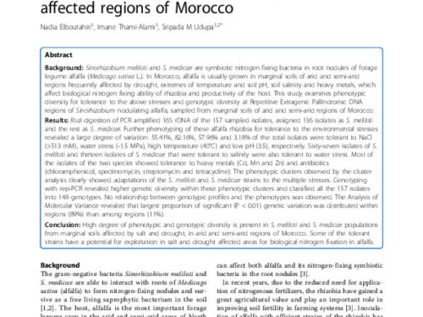 Phenotypic and genetic diversity in Sinorhizobium meliloti and S. medicae from drought and salt affected regions of Morocco