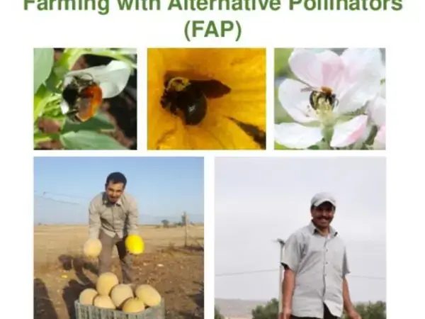 Guide for farmers Farming with Alternative Pollinators (FAP)