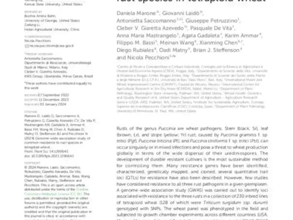 Genome-wide association study of common resistance to rust species in tetraploid wheat