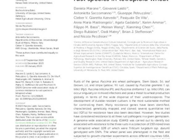 Genome-wide association study of common resistance to rust species in tetraploid wheat