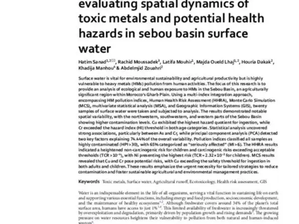 Monte carlo simulation for evaluating spatial dynamics of toxic metals and potential health hazards in sebou basin surface water