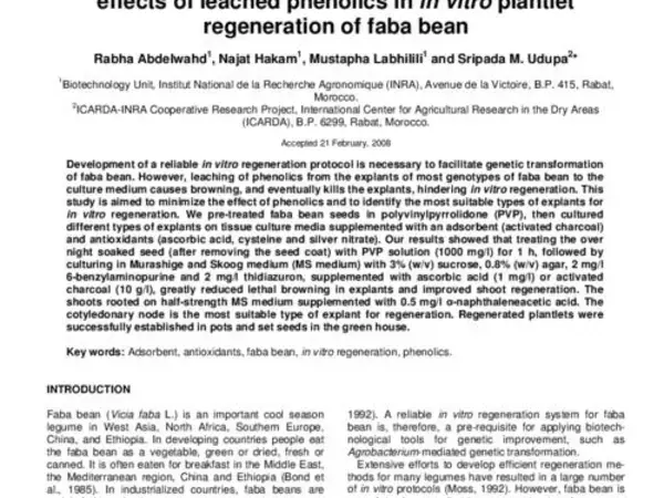 Use of an adsorbent and antioxidants to reduce the effects of leached phenolics in in vitro plantlet regeneration of faba bean