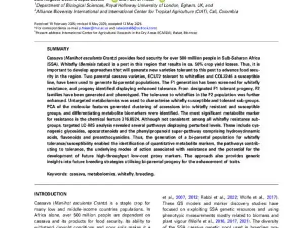 Untargeted and targeted metabolomics approaches to characterise, select and advance cassava pre-breeding populations with enhanced whitefly tolerance