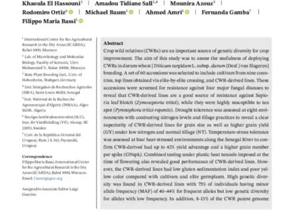 Crop wild relatives use in durum wheat breeding: drift or thrift?