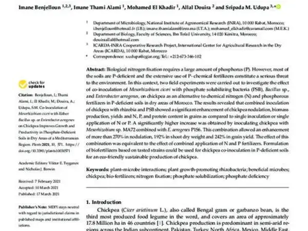 Co-Inoculation of Mesorhizobium ciceri with Either Bacillus sp. or Enterobacter aerogenes on Chickpea Improves Growth and Productivity in Phosphate-Deficient Soils in Dry Areas of a Mediterranean Region