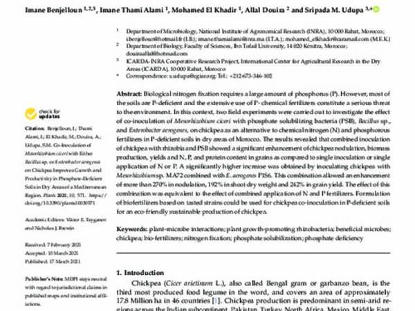 Co-Inoculation of Mesorhizobium ciceri with Either Bacillus sp. or Enterobacter aerogenes on Chickpea Improves Growth and Productivity in Phosphate-Deficient Soils in Dry Areas of a Mediterranean Region