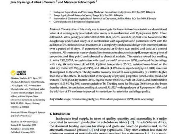 Fermentation Characteristics and Nutritional Value of Avena sativa Genotypes Ensiled with or without Napier Grass (Pennisetum purpureum)