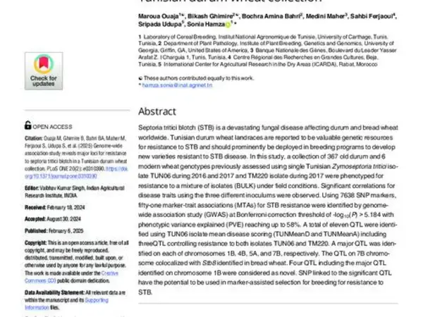 Genome-wide association study reveals major loci for resistance to septoria tritici blotch in a Tunisian durum wheat collection