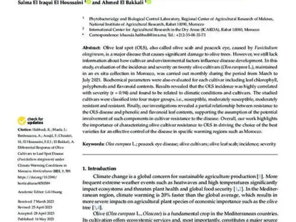 Differential Response of Olive Cultivars to Leaf Spot Disease (Fusicladium oleagineum) under Climate Warming Conditions in Morocco