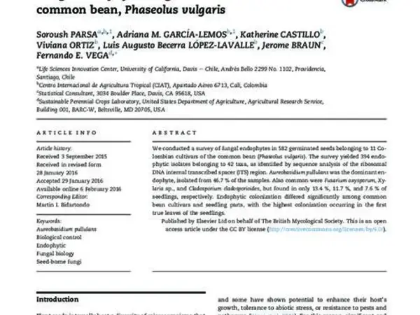 Fungal endophytes in germinated seeds of the common bean, Phaseolus vulgaris