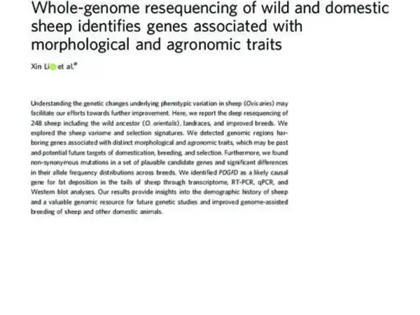 Whole-genome resequencing of wild and domestic sheep identifies genes associated with morphological and agronomic traits