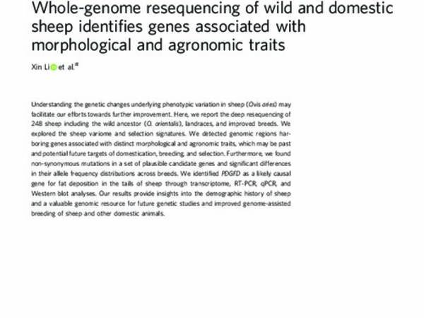 Whole-genome resequencing of wild and domestic sheep identifies genes associated with morphological and agronomic traits