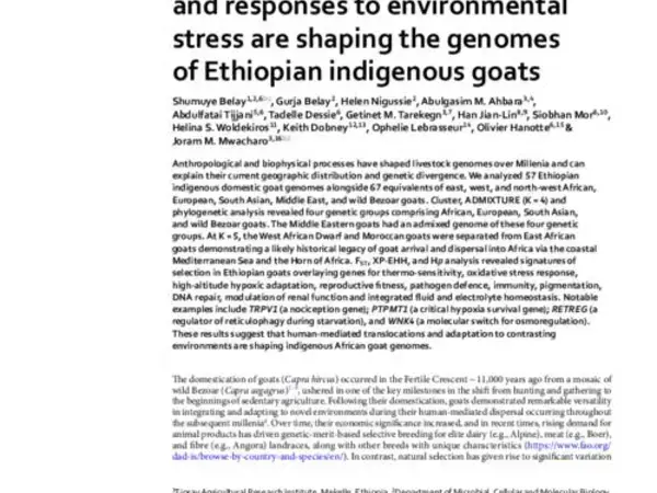 Anthropogenic events and responses to environmental stress are shaping the genomes of Ethiopian indigenous goats