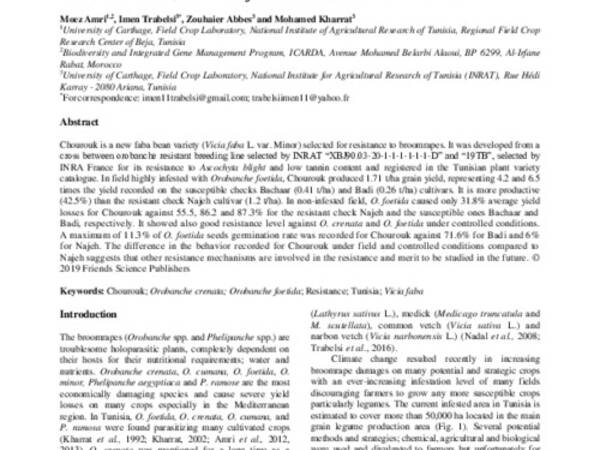Release of  a New  Faba  Bean Variety "Chourouk" Resistant to  the Parasitic Plants Orobanche foetida Poir. and Orobanche crenata Forsk. in Tunisia