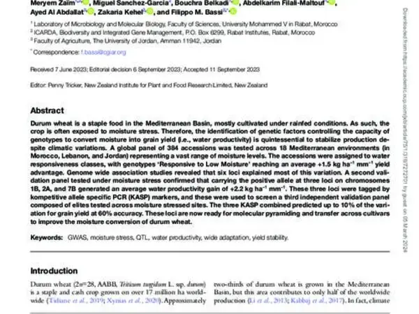 Genomic regions of durum wheat involved in water productivity
