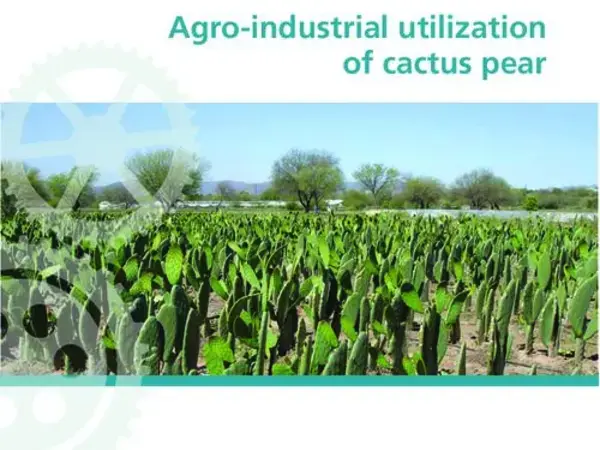 Agro-industrial utilization of cactus pear