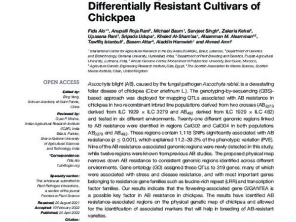 Novel Genomic Regions Linked to Ascochyta Blight Resistance in Two Differentially Resistant Cultivars of Chickpea