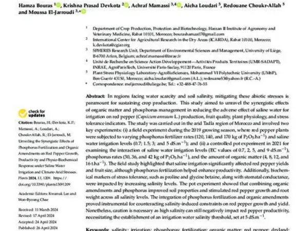Unveiling the Synergistic Effects of Phosphorus Fertilization and Organic Amendments on Red Pepper Growth, Productivity and Physio-Biochemical Response under SalineWater Irrigation and Climate-Arid Stresses
