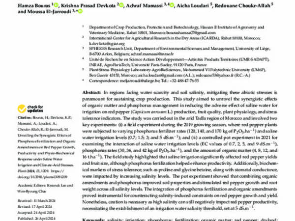 Unveiling the Synergistic Effects of Phosphorus Fertilization and Organic Amendments on Red Pepper Growth, Productivity and Physio-Biochemical Response under SalineWater Irrigation and Climate-Arid Stresses