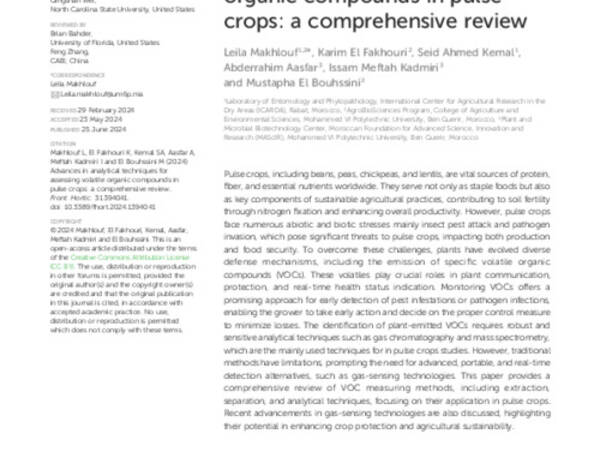 Advances in analytical techniques for assessing volatile organic compounds in pulse crops: a comprehensive review