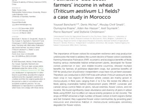 Beyond biodiversity: does “Farming with Alternative Pollinators” also boost farmers’ income in wheat (Triticum aestivum L.) fields? a case study in Morocco