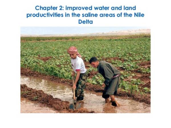 Improved water and land productivities in the saline areas of the Nile Delta