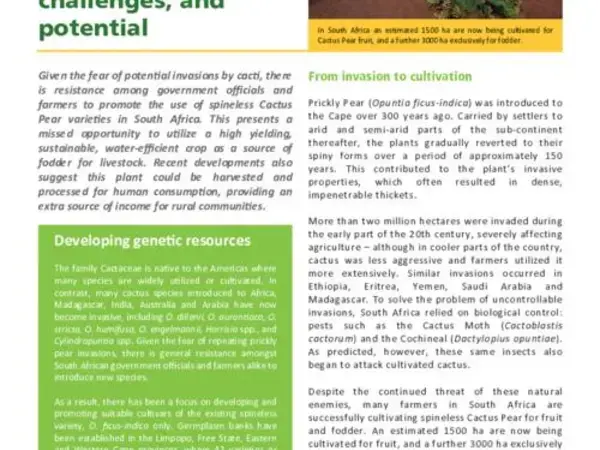 Cactusnet: Promoting the social and ecological benefits of cactus production: Cactus Pear in South Africa: History, challenges and potential