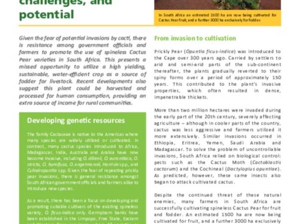 Cactusnet: Promoting the social and ecological benefits of cactus production: Cactus Pear in South Africa: History, challenges and potential