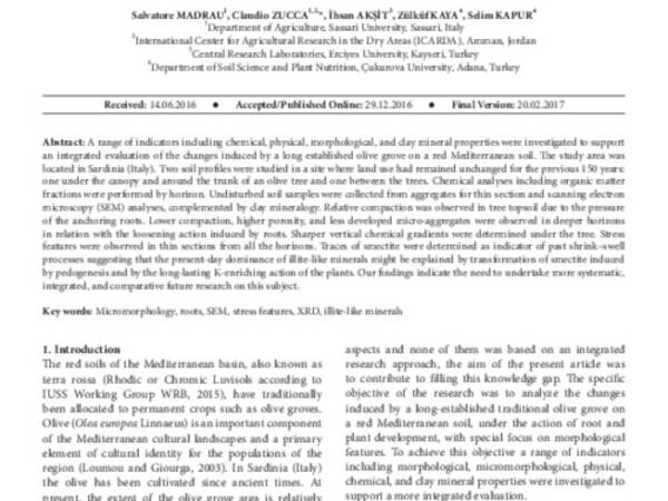 Tree-induced changes in a Terra Rossa soil under olive. Observations from an integrated field study