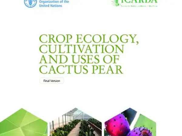 Crop ecology, cultivation and uses of cactus pear